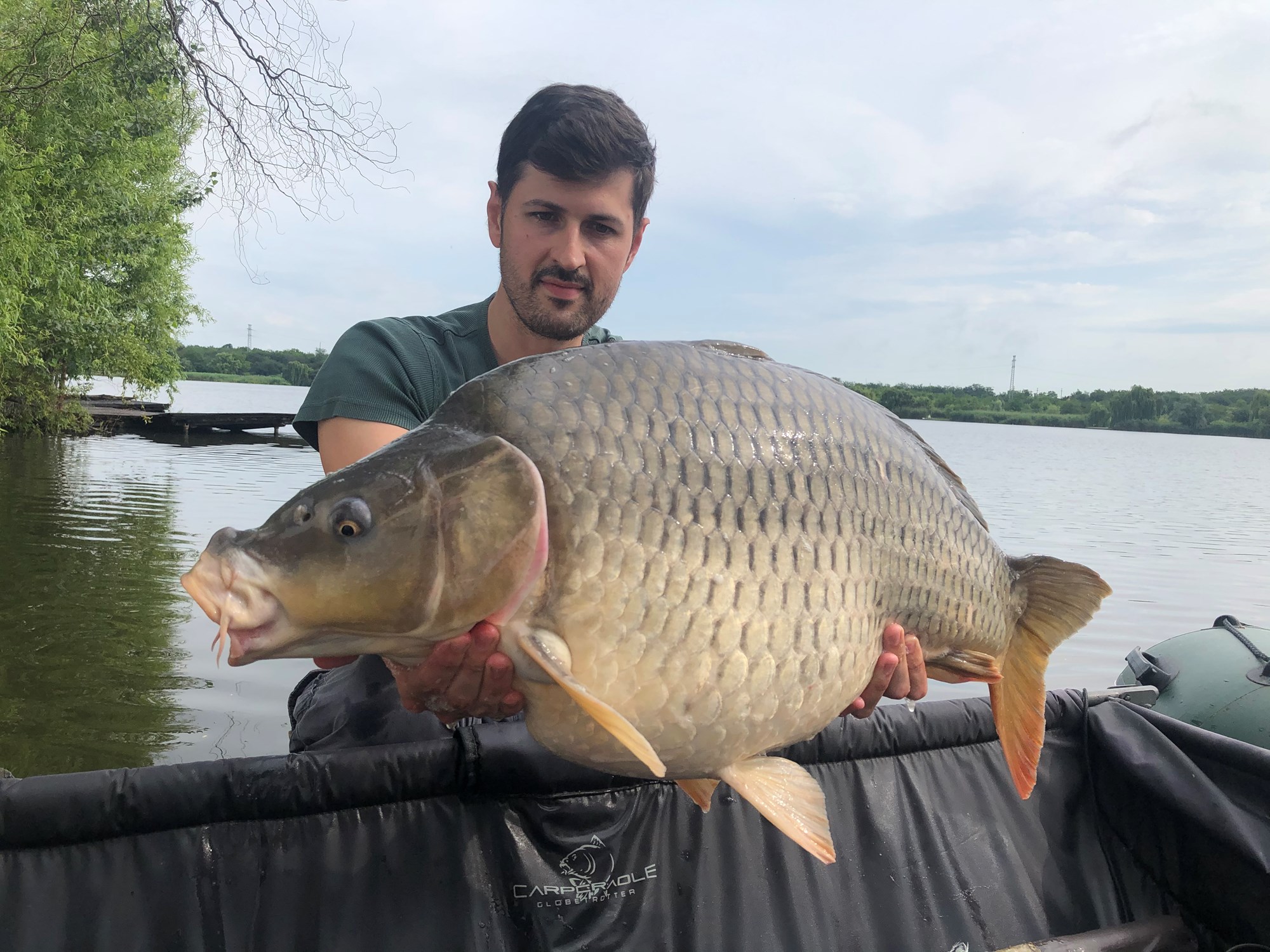 Tancabesti 22 - 25 iun. - 14 kg